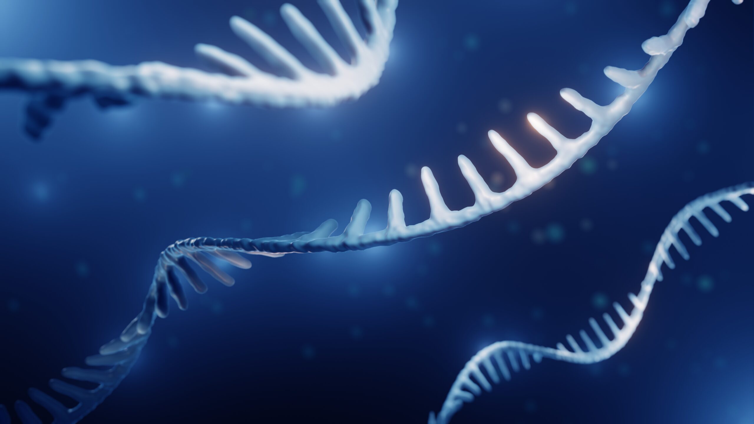 Advancing transformative RNA therapies for inherited retinal diseases